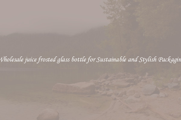 Wholesale juice frosted glass bottle for Sustainable and Stylish Packaging