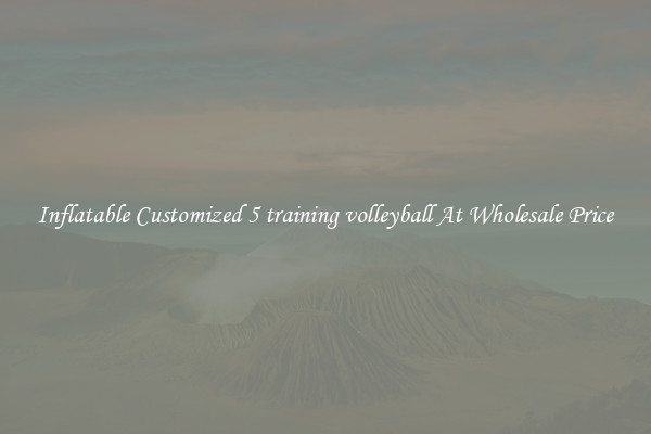 Inflatable Customized 5 training volleyball At Wholesale Price