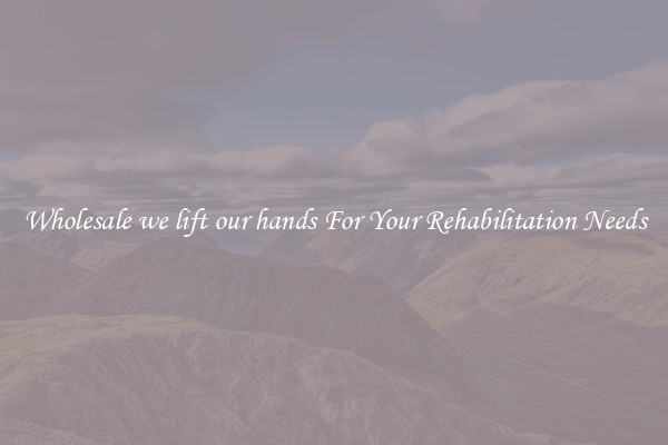 Wholesale we lift our hands For Your Rehabilitation Needs