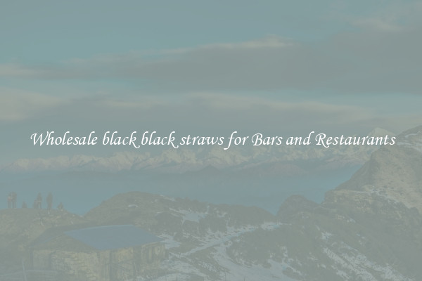 Wholesale black black straws for Bars and Restaurants