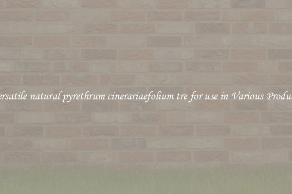 Versatile natural pyrethrum cinerariaefolium tre for use in Various Products