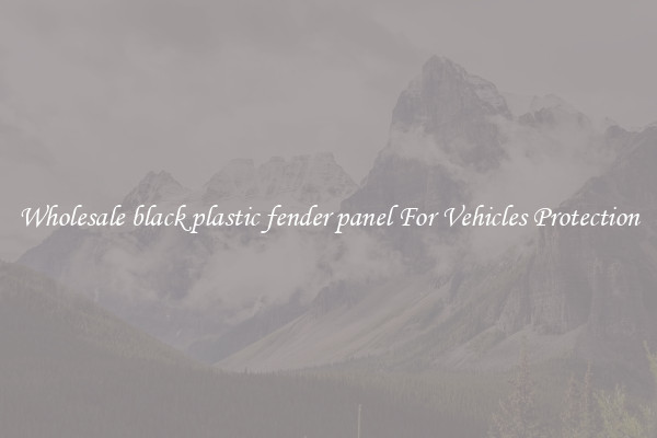 Wholesale black plastic fender panel For Vehicles Protection