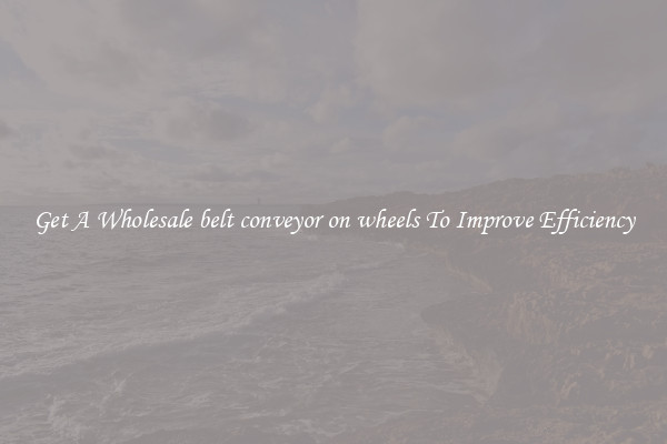 Get A Wholesale belt conveyor on wheels To Improve Efficiency