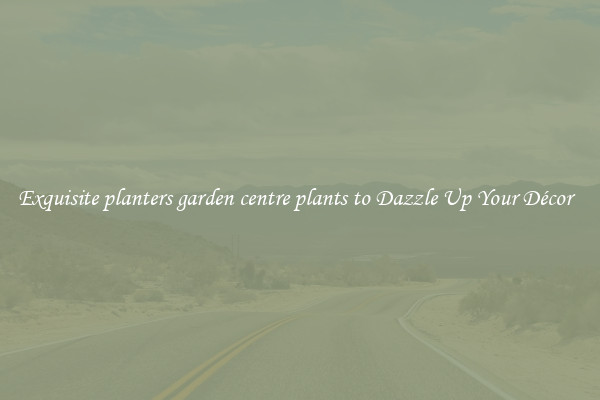 Exquisite planters garden centre plants to Dazzle Up Your Décor  