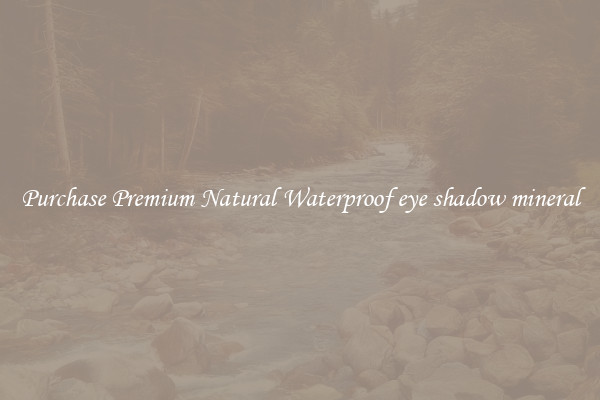 Purchase Premium Natural Waterproof eye shadow mineral