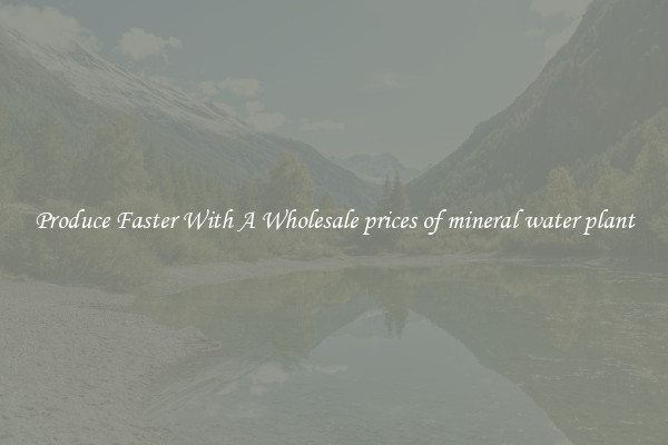 Produce Faster With A Wholesale prices of mineral water plant
