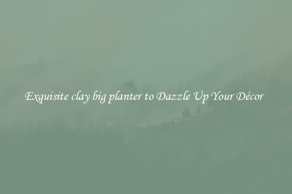 Exquisite clay big planter to Dazzle Up Your Décor  