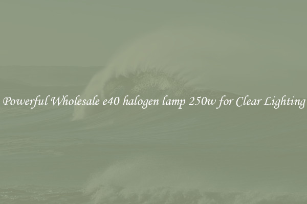 Powerful Wholesale e40 halogen lamp 250w for Clear Lighting