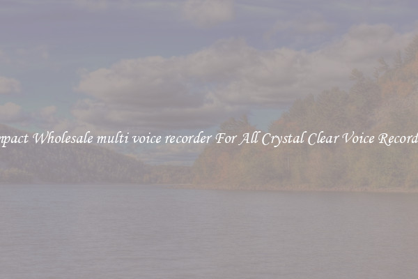 Compact Wholesale multi voice recorder For All Crystal Clear Voice Recordings