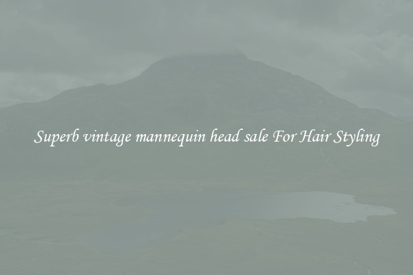 Superb vintage mannequin head sale For Hair Styling