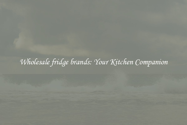 Wholesale fridge brands: Your Kitchen Companion