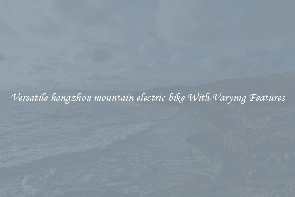Versatile hangzhou mountain electric bike With Varying Features
