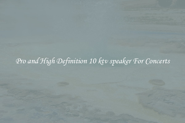 Pro and High Definition 10 ktv speaker For Concerts