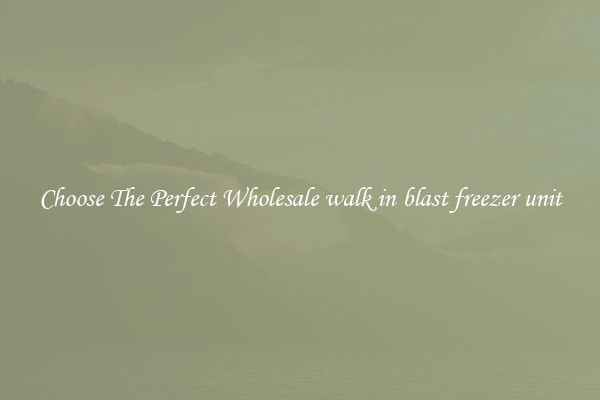 Choose The Perfect Wholesale walk in blast freezer unit