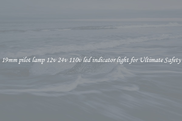 19mm pilot lamp 12v 24v 110v led indicator light for Ultimate Safety