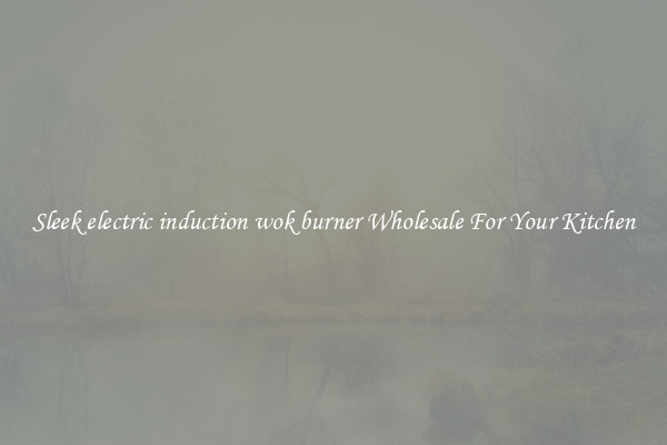 Sleek electric induction wok burner Wholesale For Your Kitchen