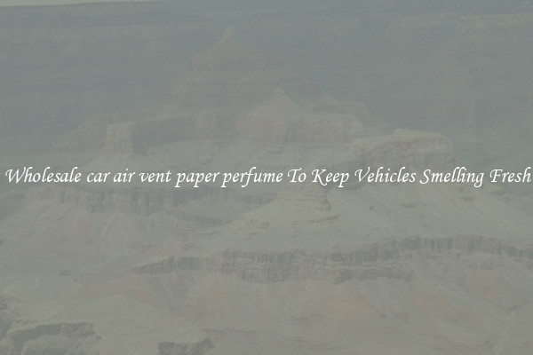 Wholesale car air vent paper perfume To Keep Vehicles Smelling Fresh