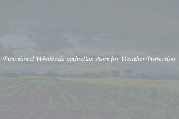 Functional Wholesale umbrellas short for Weather Protection 