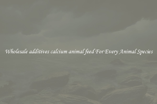 Wholesale additives calcium animal feed For Every Animal Species