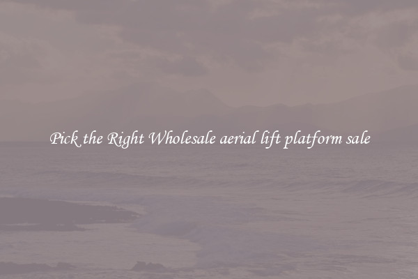Pick the Right Wholesale aerial lift platform sale